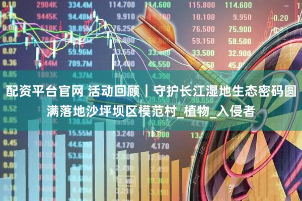 配资平台官网 活动回顾｜守护长江湿地生态密码圆满落地沙坪坝区模范村_植物_入侵者